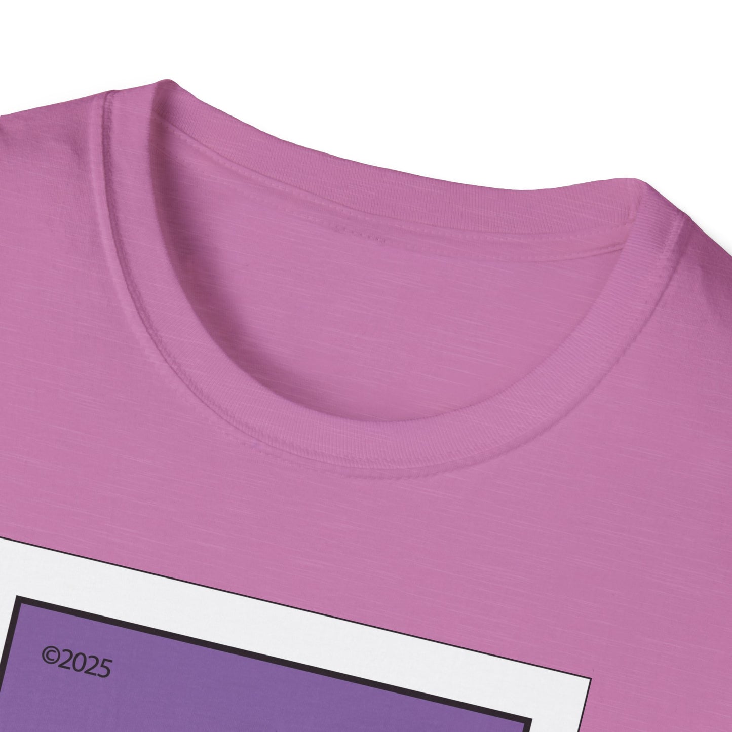 Las Campeonas Women's T-Shirt